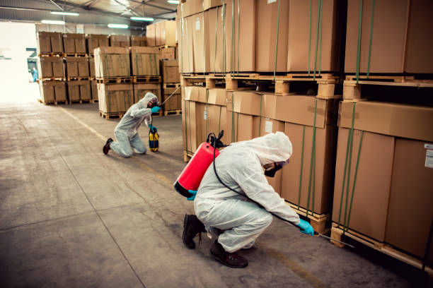 Best Bed Bug Extermination  in Sublette, KS