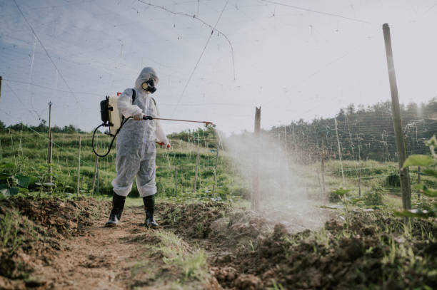 Best Best Pest Control Companies  in Sublette, KS
