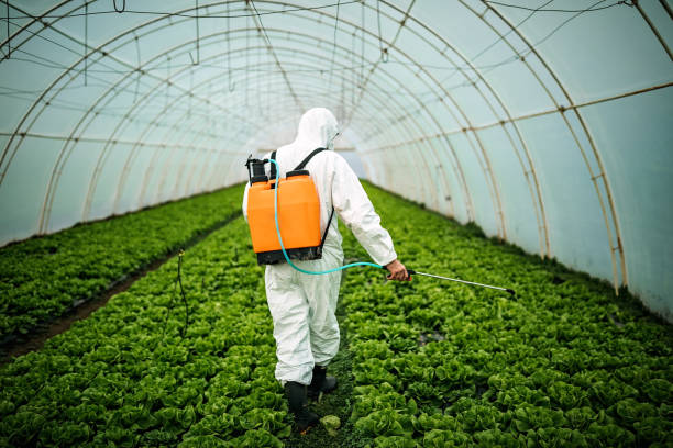 Reliable Sublette, KS Pest Control Solutions