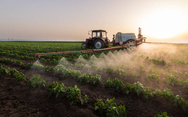 Pest Prevention Services in Sublette, KS