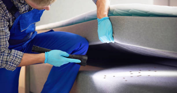 Best Pest Inspection Near Me  in Sublette, KS