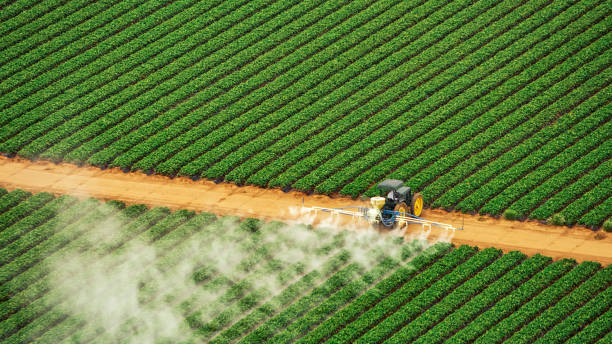 Pest Control for Restaurants in Sublette, KS