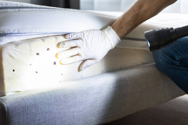Best Pest Removal Services  in Sublette, KS