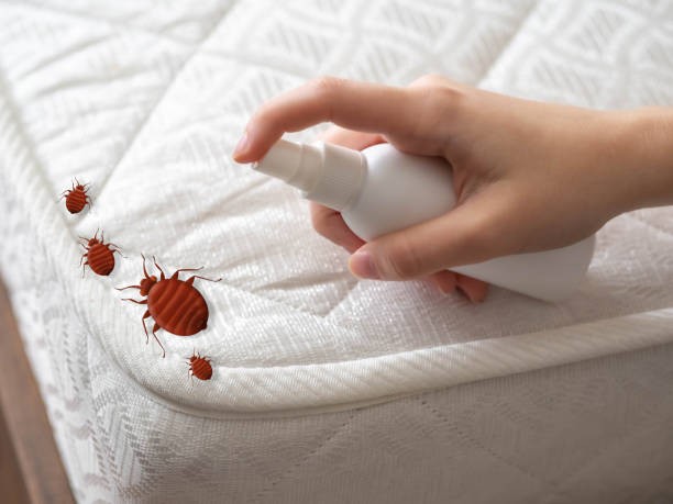 Best Pest Inspection Near Me  in Sublette, KS