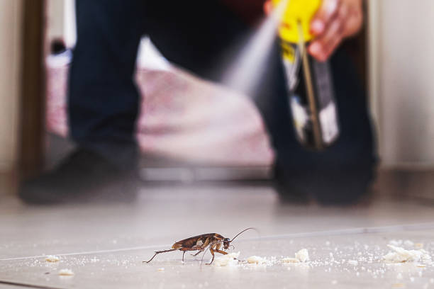 Best Pest Control for Restaurants  in Sublette, KS