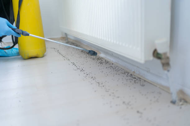 Best Emergency Pest Control  in Sublette, KS