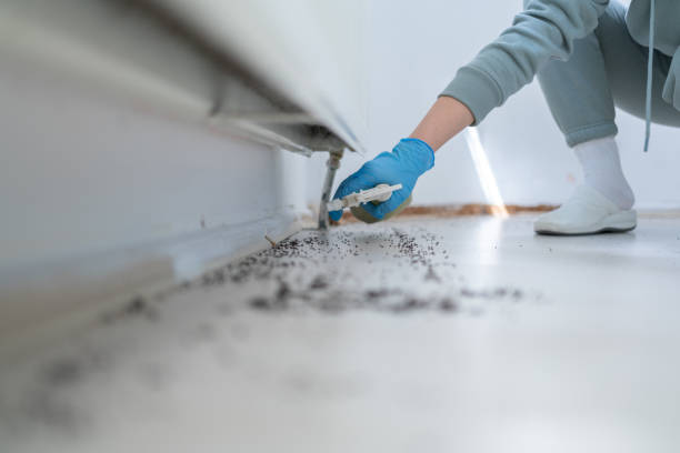 Best Affordable Pest Control Services  in Sublette, KS
