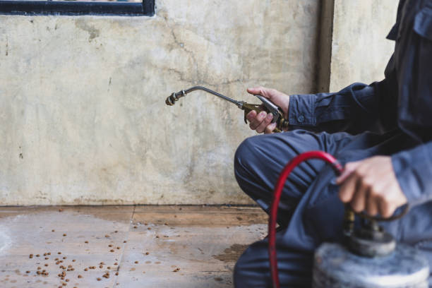 Best Cockroach Control Services  in Sublette, KS
