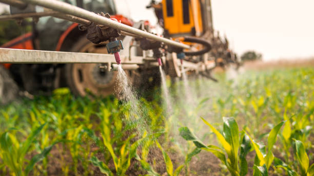 Best Pest Prevention Services  in Sublette, KS