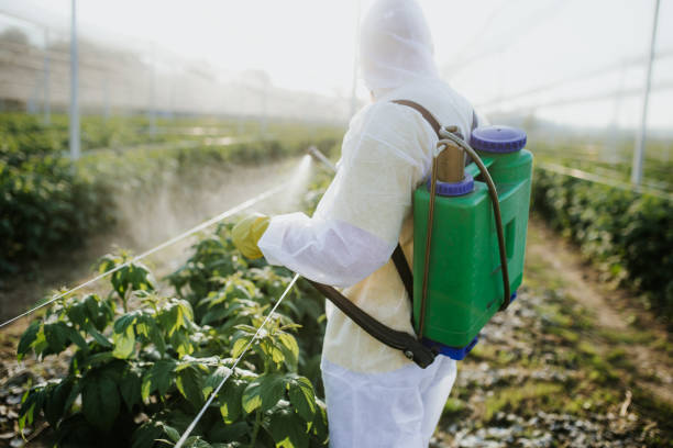 Best Best Pest Control Companies  in Sublette, KS